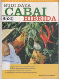 Budidaya Cabai Hibrida