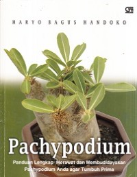 Pachypodium