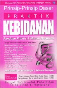 Prinsip - Prinsip Praktik Kebidanan