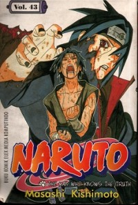 Image of Naruto Vol. 43