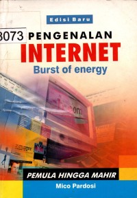 Pengenalan Internet Bust of Energy